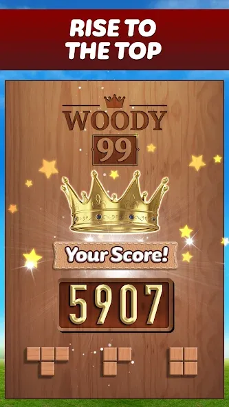 Взломанная Woody 99 — Sudoku Block Puzzle (Вуди 99)  [МОД Unlocked] — последняя версия apk на Андроид screen 5