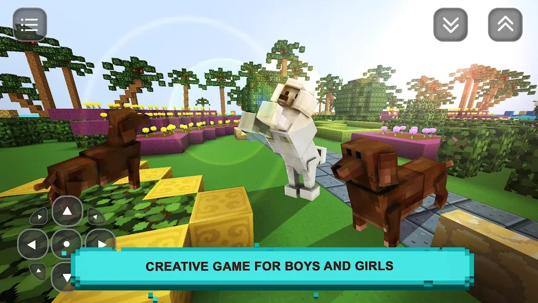 Скачать взлом Pet Puppy Love: Girls Craft  [МОД Много монет] — последняя версия apk на Андроид screen 1